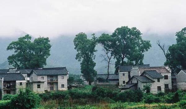 农村这3个发家致富的新行业正在崛起，想自主创业不妨好好考虑