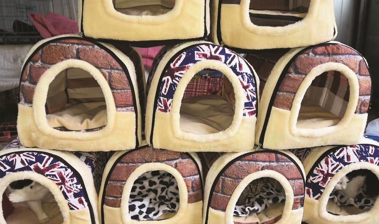 半年来多了百只动物，无锡流浪伤残动物之家等你“带它回家”