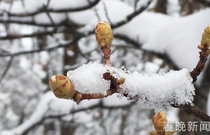 昆明出发三月哪里机票最便宜,昆明往返机票自由行