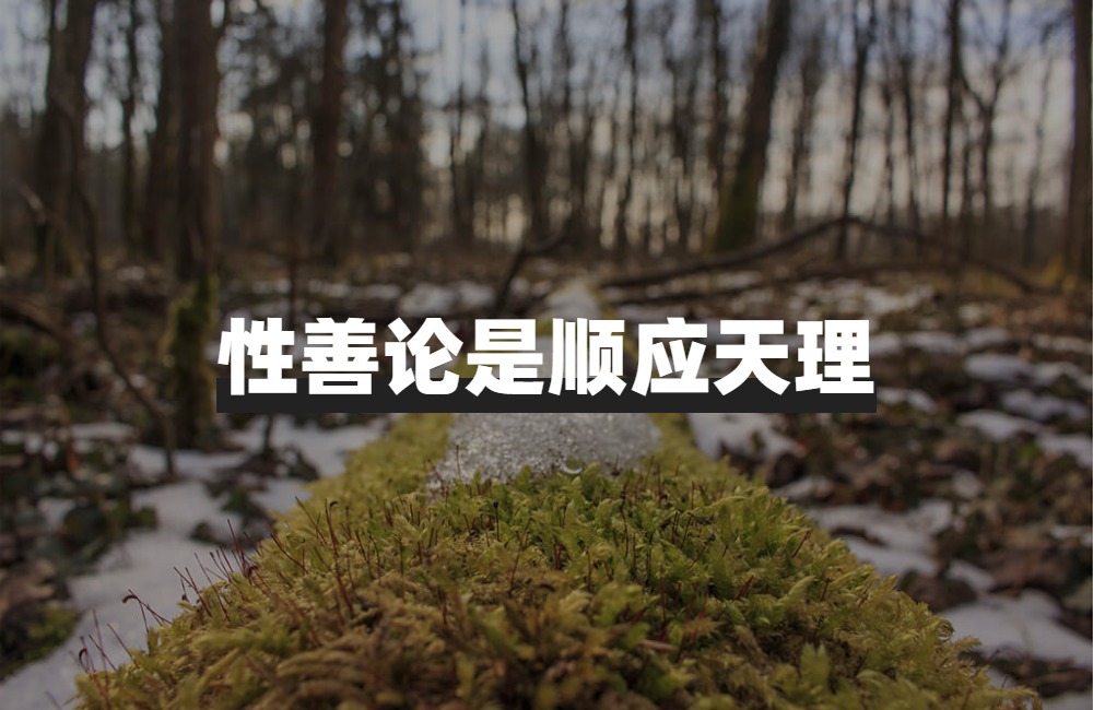 从性善论分析人性的层级,性善论对个人的现实意义