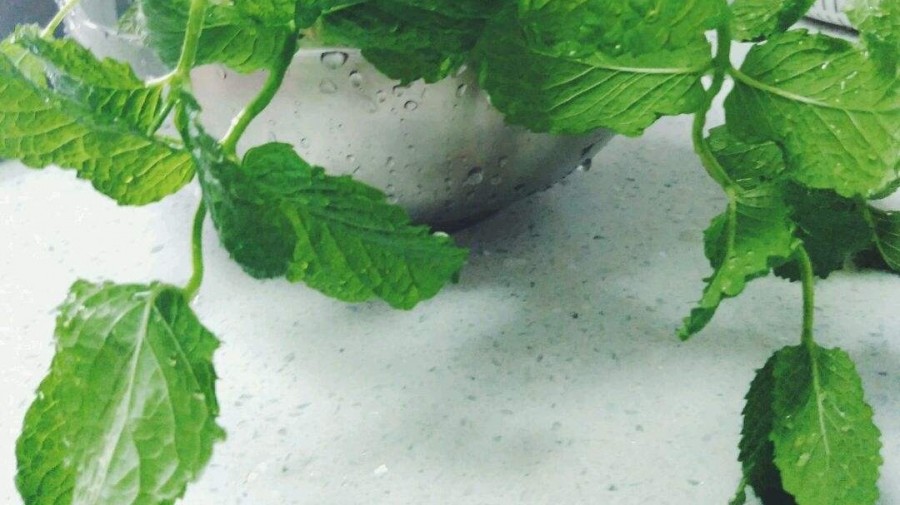 平价小清新薄荷感香水推荐,清爽不腻的香味有哪些香水