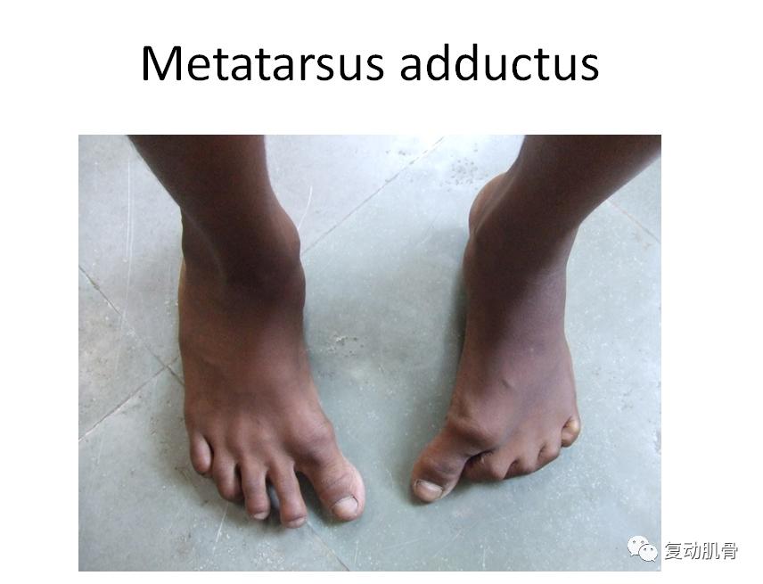 怎样分解八字求详细解说,解读八字教学