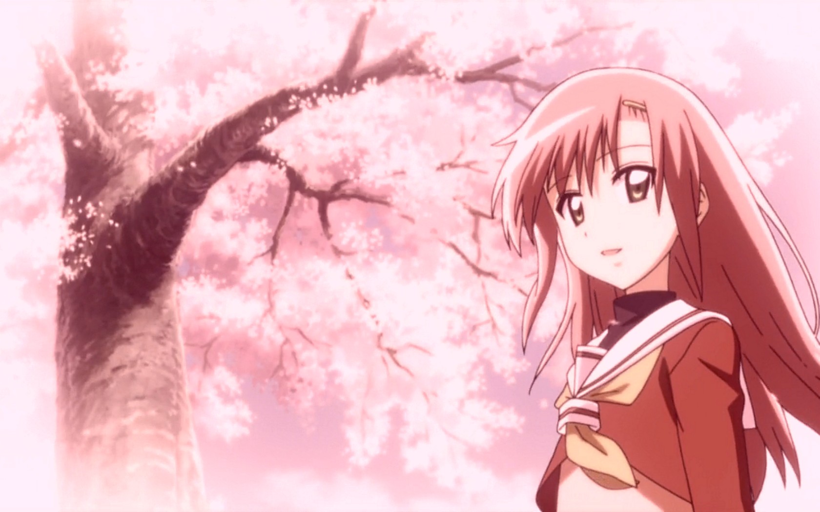 鏃嬮绠″婕敾,鏃嬮绠″婕敾鍚庣画