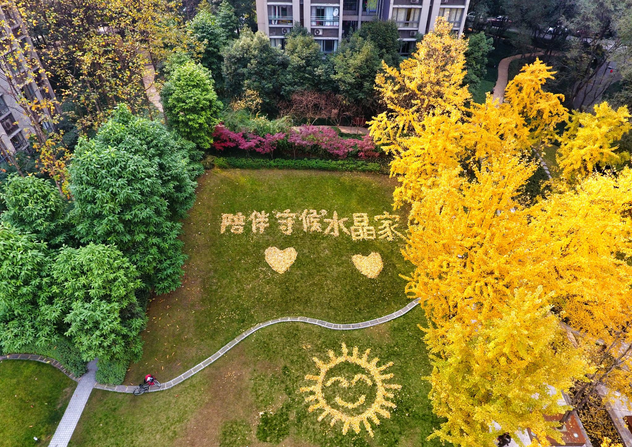 龙湖带你走进智慧服务,龙湖智慧服务商业