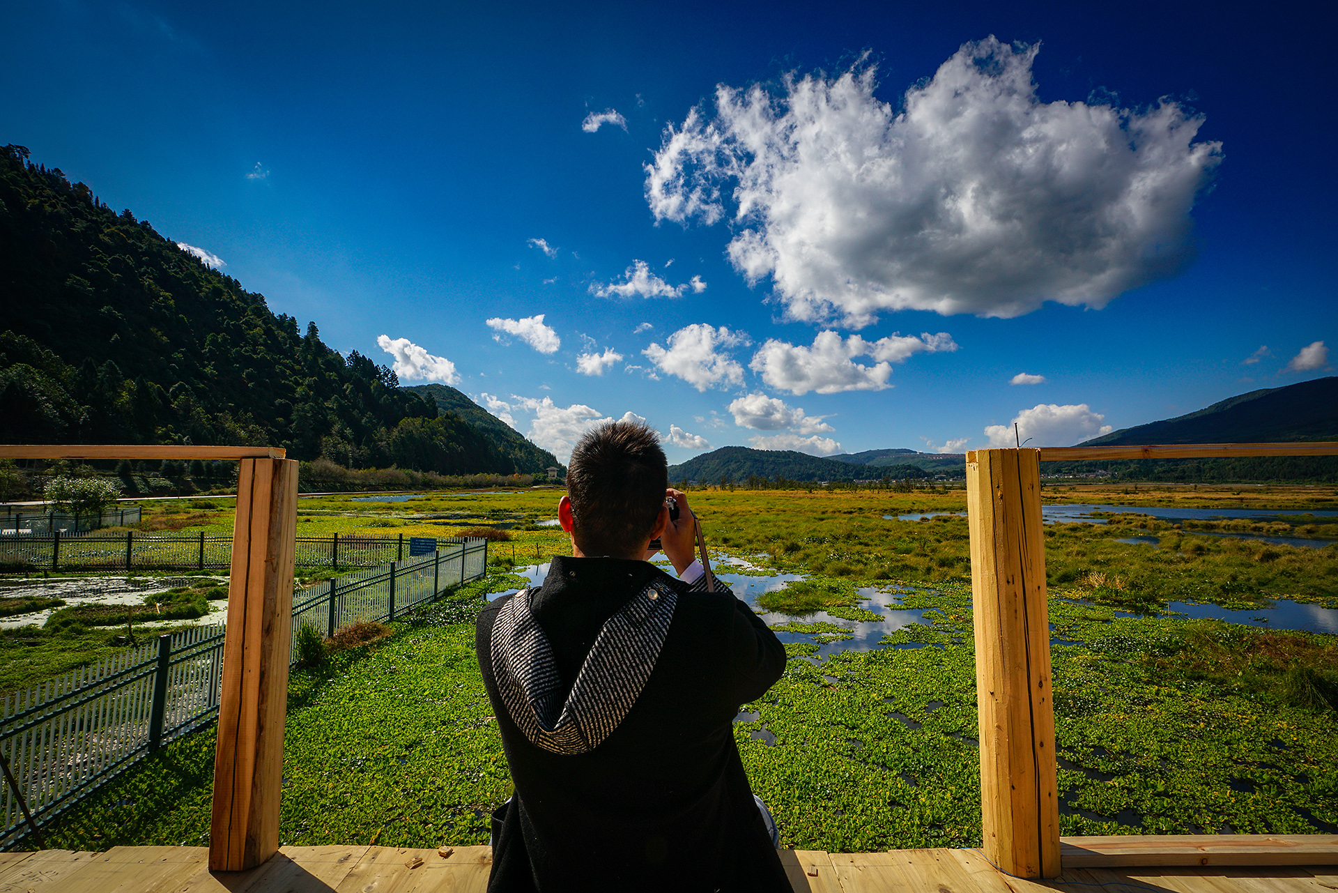 2023腾冲看银杏最佳时间,腾冲看银杏树旅游攻略