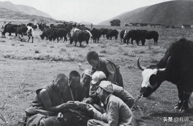 进藏部队断粮，地老鼠也是肉：风箱洞口鼓风，麻袋堵住另外出口