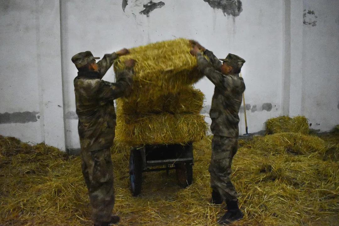 兵哥哥骑马飞奔,骑马的兵哥哥照片
