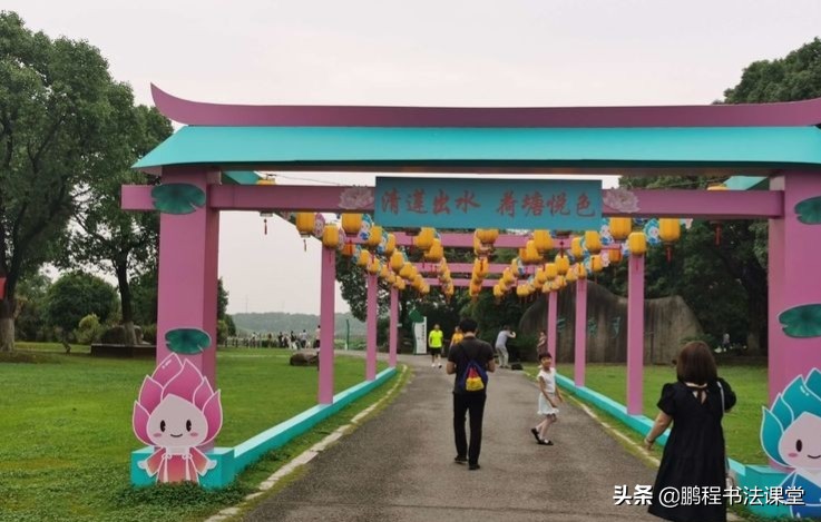 莲池湖公园赏荷花攻略,荷塘月色湿地公园最佳赏荷时间