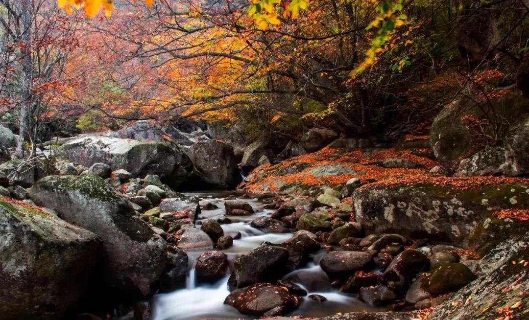 这里是勉县，一个让你流连忘返的地方