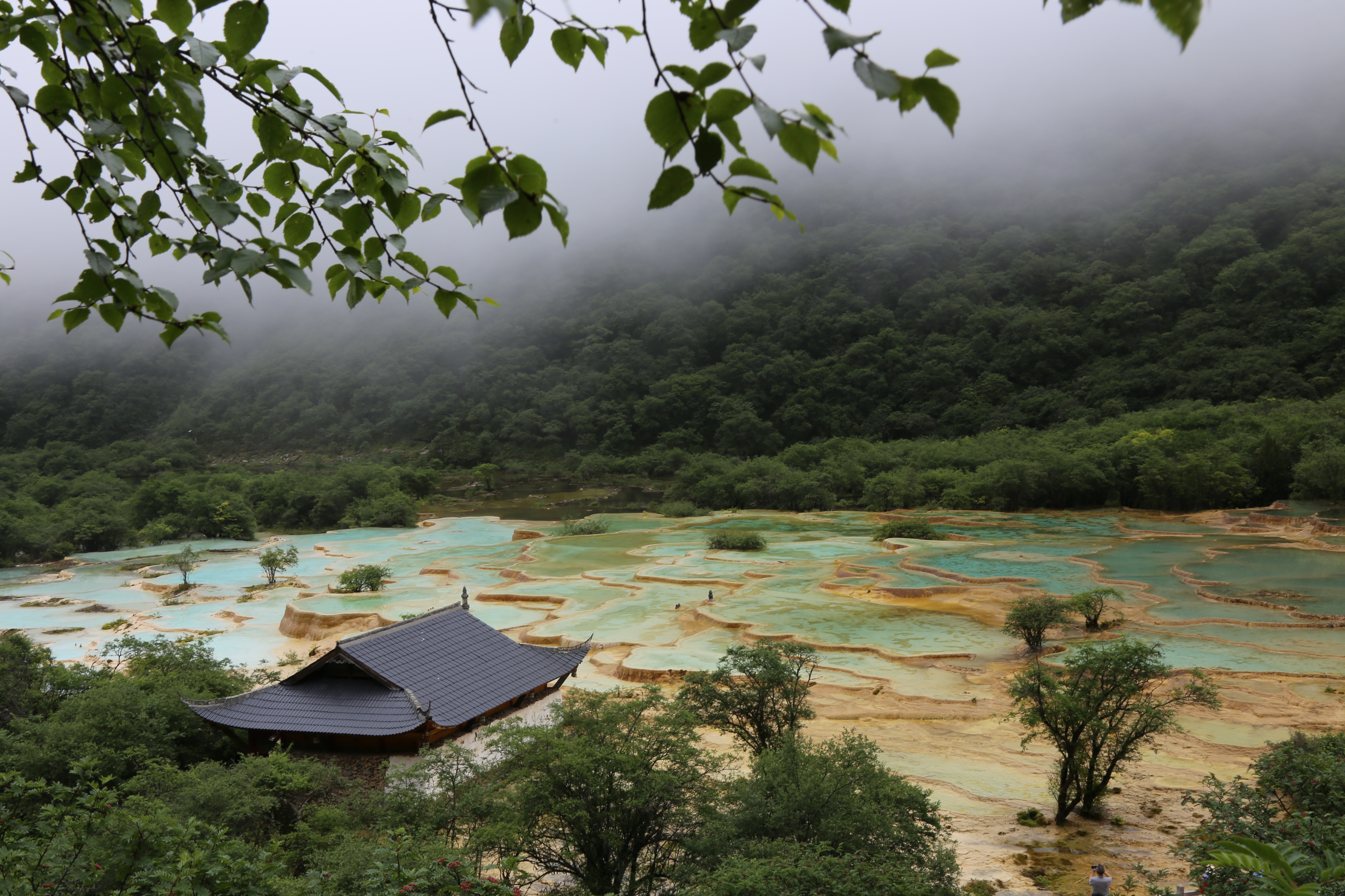 自驾游六——四川黄龙景区随笔