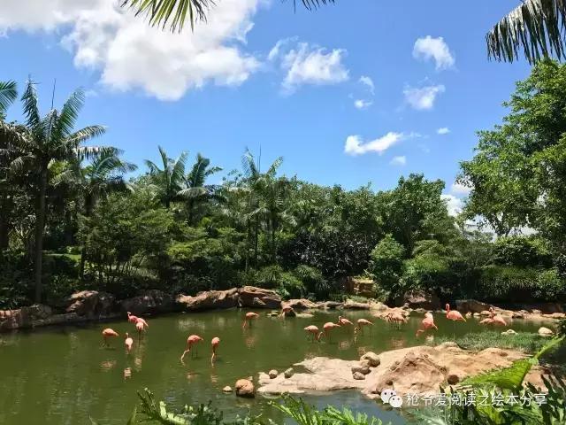 暑假珠海长隆两日一夜亲子游,珠海长隆海洋王国亲子游北极熊