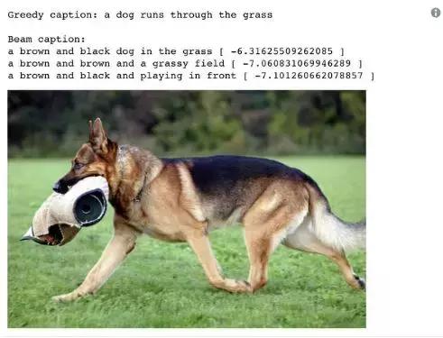 神经网络开源数据集,神经网络与深度学习开源