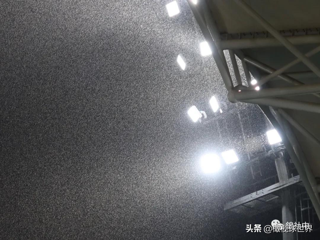 我与全运会的故事,我和校运会的故事作文