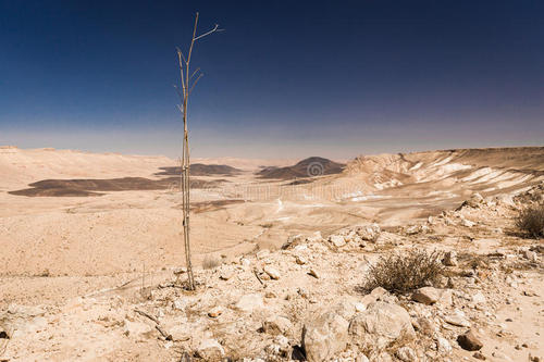 燥痹的症状和治疗方法,燥痹中医诊断标准