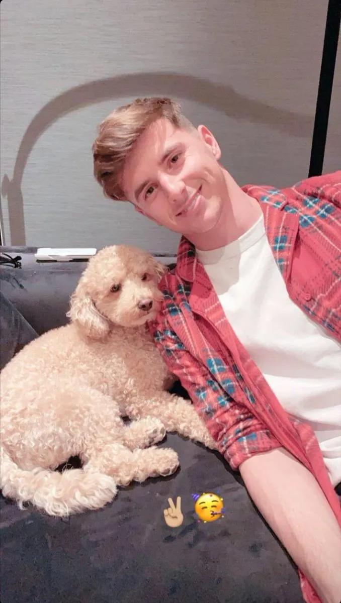 欧洲杯新晋足球帅哥,24年欧洲杯十大帅哥