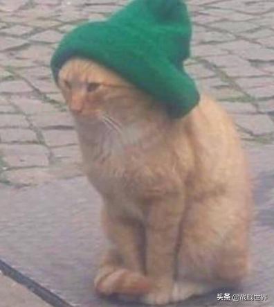 鸭类鸭类,鸭类品种大全