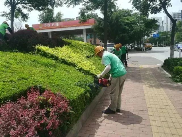 生活中怎样保护生态环境,生活中如何才能保护环境