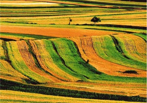 天津到甘南自驾游最佳详细路线图,天津滨海新区周边一日游自驾游