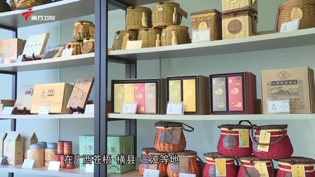 广西上品六堡茶,广西六堡茶业