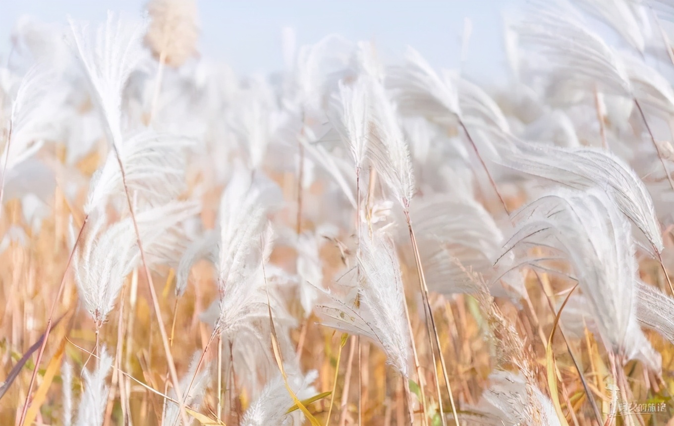 山东这两座小城，集齐了所有令人向往的美景，超级适合自驾！