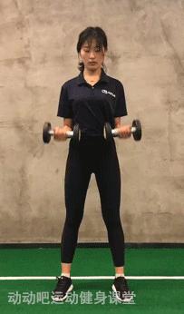 一副哑铃,让你在家也能刺激全身肌肉