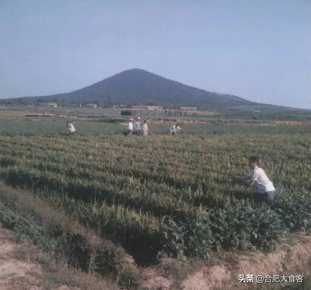 合肥大蜀山的秘密,合肥大蜀山的由来