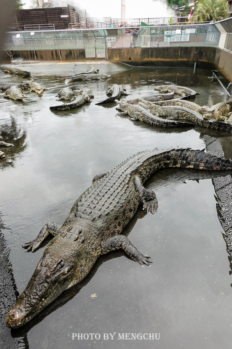 九州别府地狱温泉,别府八大地狱温泉攻略