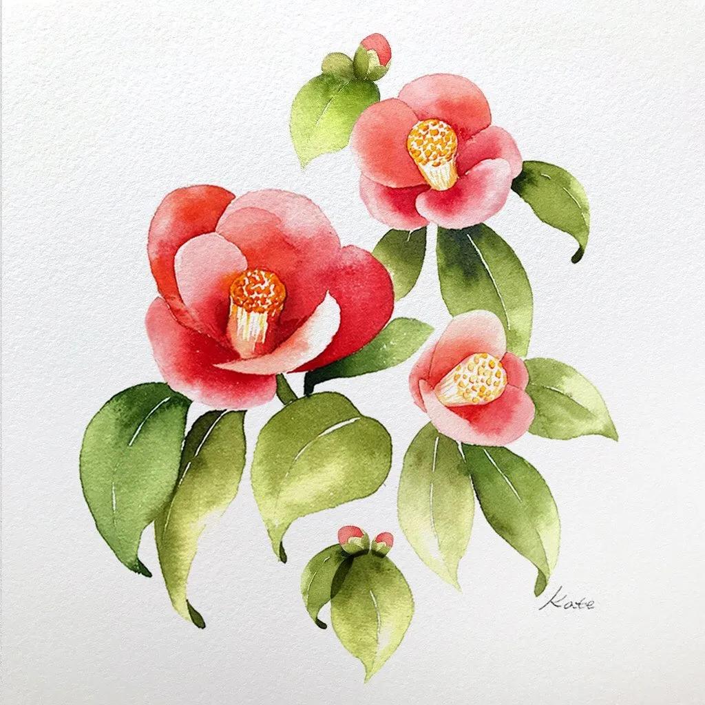 一分钟教你简单画花,简单的花卉图教程