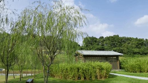 人少还免门票！深圳这片5000000㎡新公园美翻了，“神仙花谷”