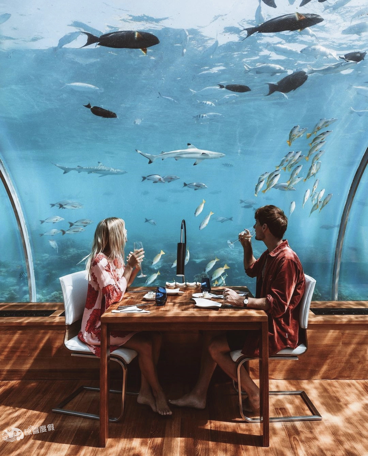 马尔代夫选岛神器,马尔代夫必买清单及价格