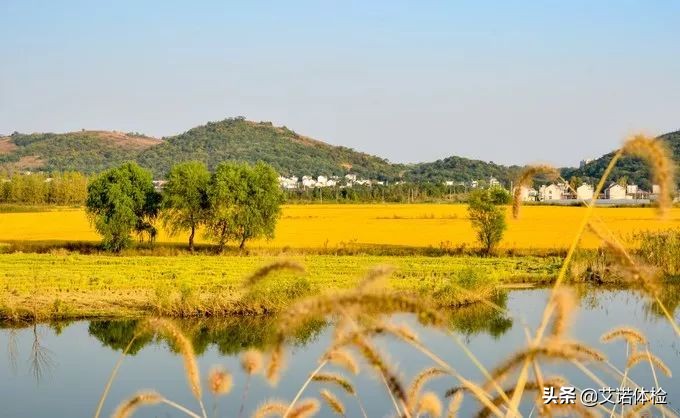 合肥景区免费景点,合肥旅游景点大全免费玩