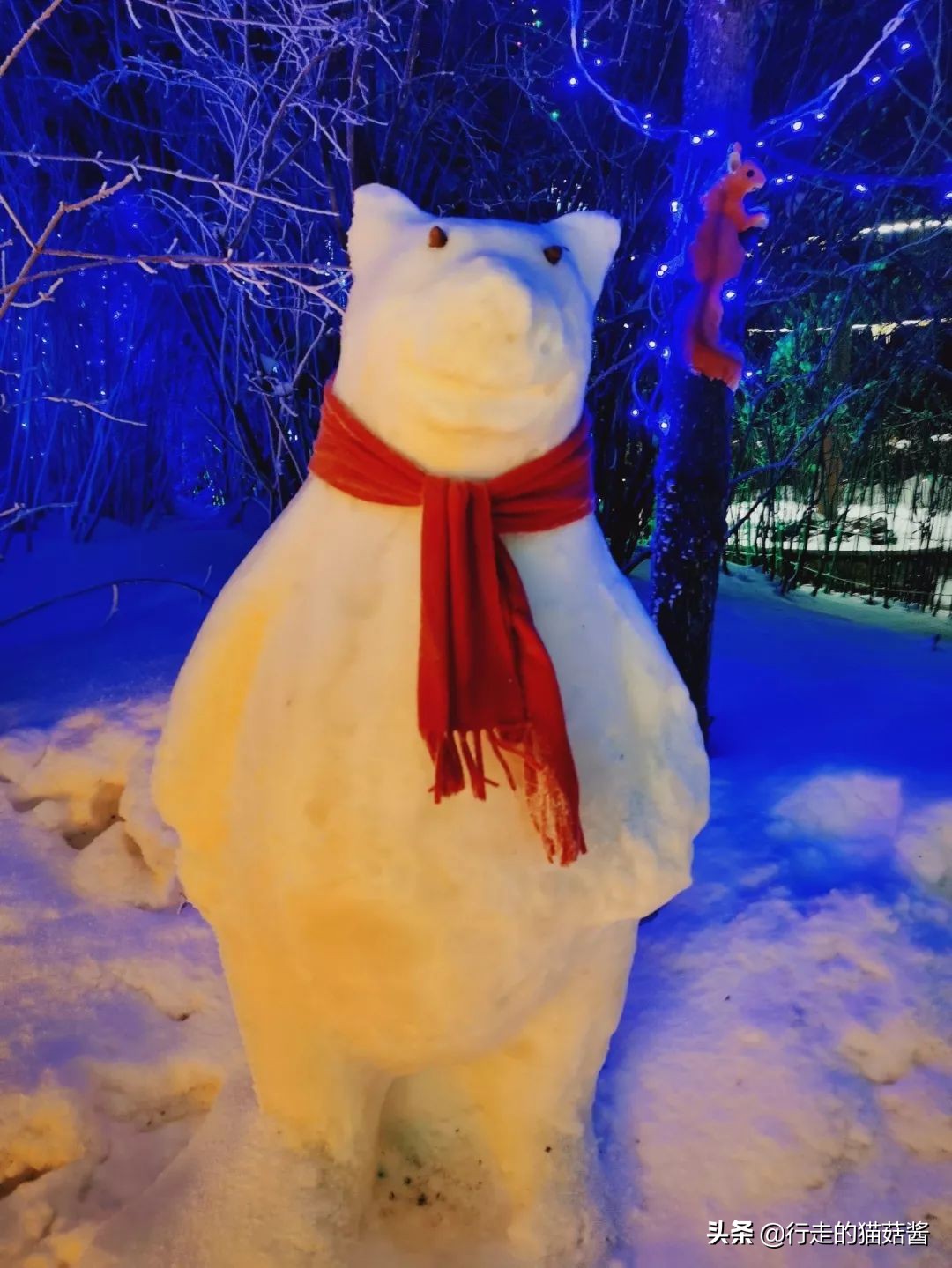 长白山天池猴子泡温泉 (长白山冬天看天池)