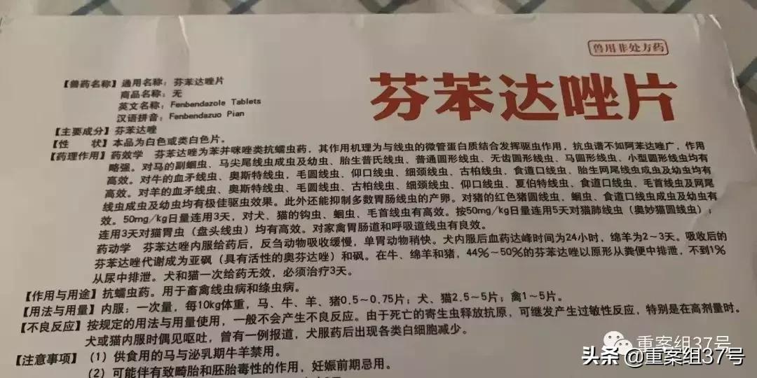 兽药癌症,兽药抗癌吧
