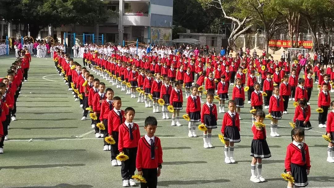 深圳市足球比较好的小学,深圳市福田区篮球最厉害的小学