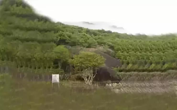 十大名茶排名前十名的酒,中国八大名酒十大名茶