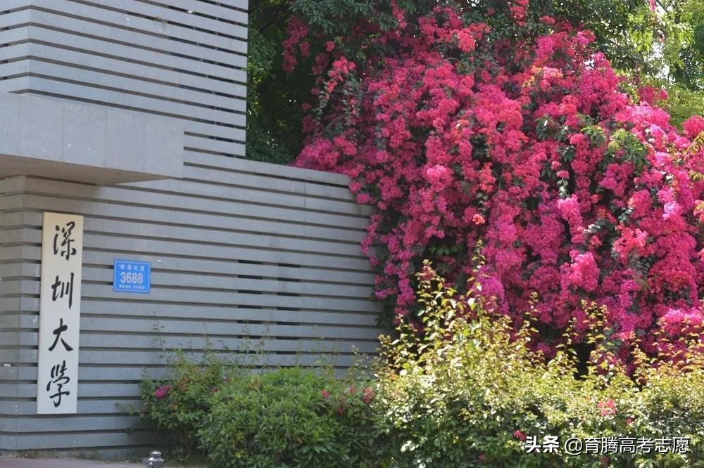 拥有绝佳地理优势！深圳大学怎么样？好就业吗？