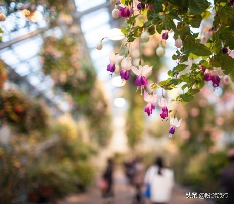 日本关西京都奈良旅游,日本关西自由行之奈良