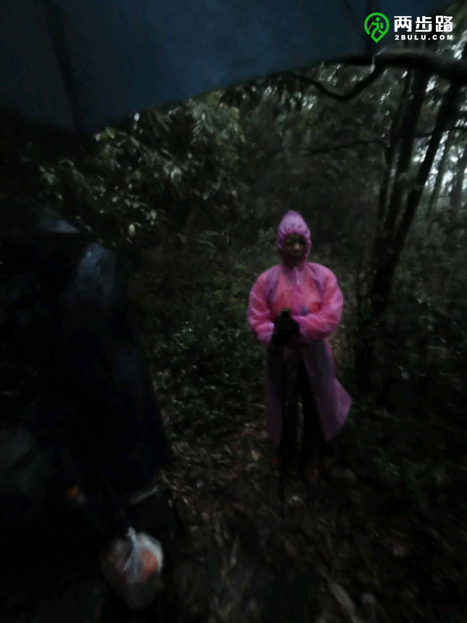 二天三夜邮轮游,两天三夜的海上旅行