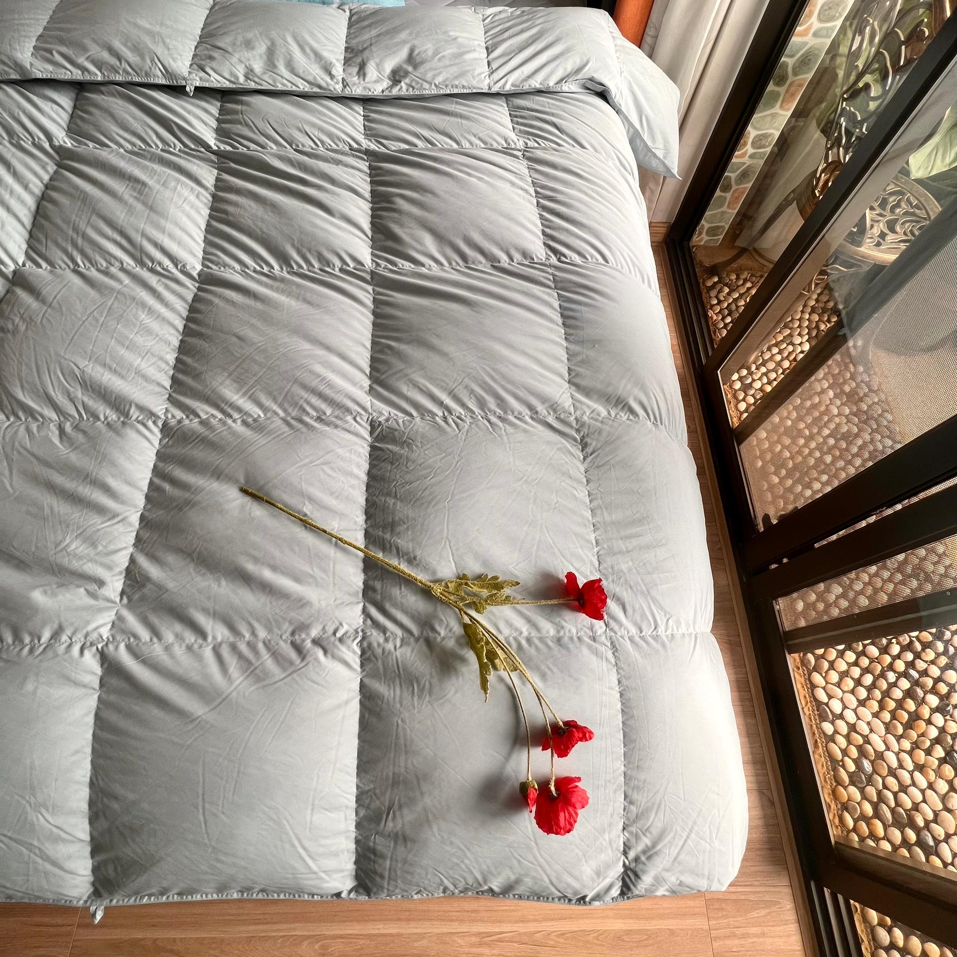 冬天需要一件暖心的外套,冬季白鹅绒被子