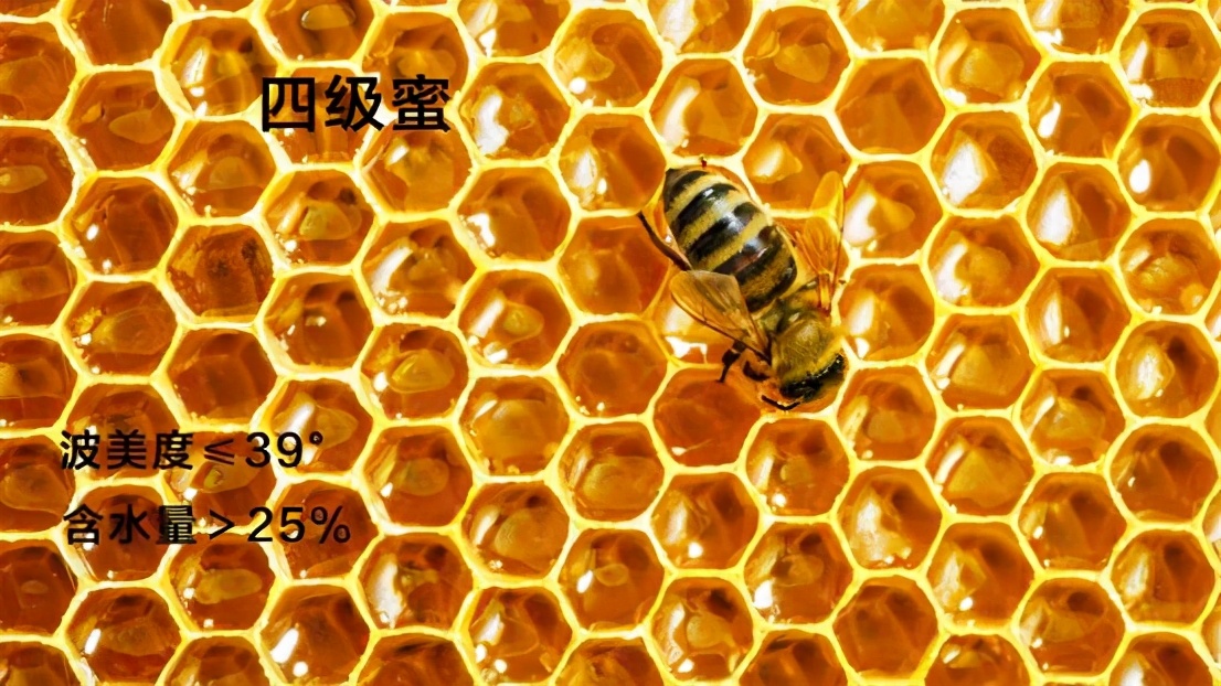 执“蜜”不悟，润口蜂蜜应该怎么挑？