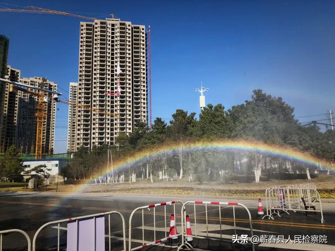 防疫日记简短100字,防疫日记范文300字