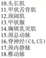 喉部病变做核磁还是ct,耳鼻喉科常见病影像诊断