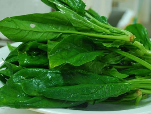 去吃麻辣烫吃哪样食材不踩雷,吃麻辣烫拿哪些菜不压秤