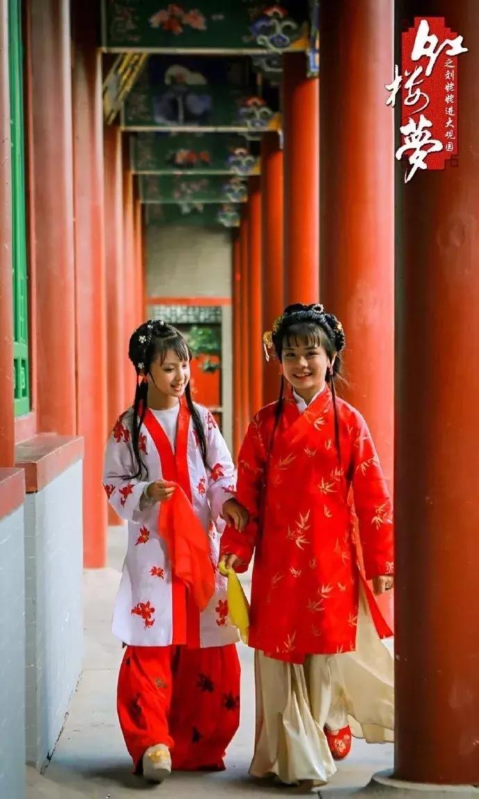 红楼梦生僻字注解大全,红楼梦十二首判词中的生僻字