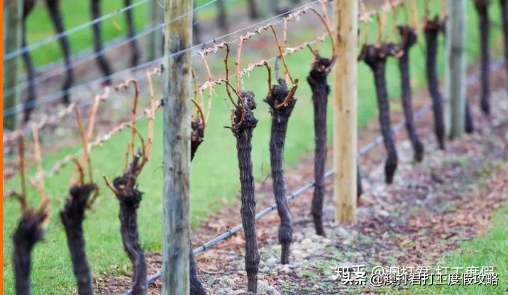 十大在家最挣钱的工作,去做什么工作才是最赚钱的