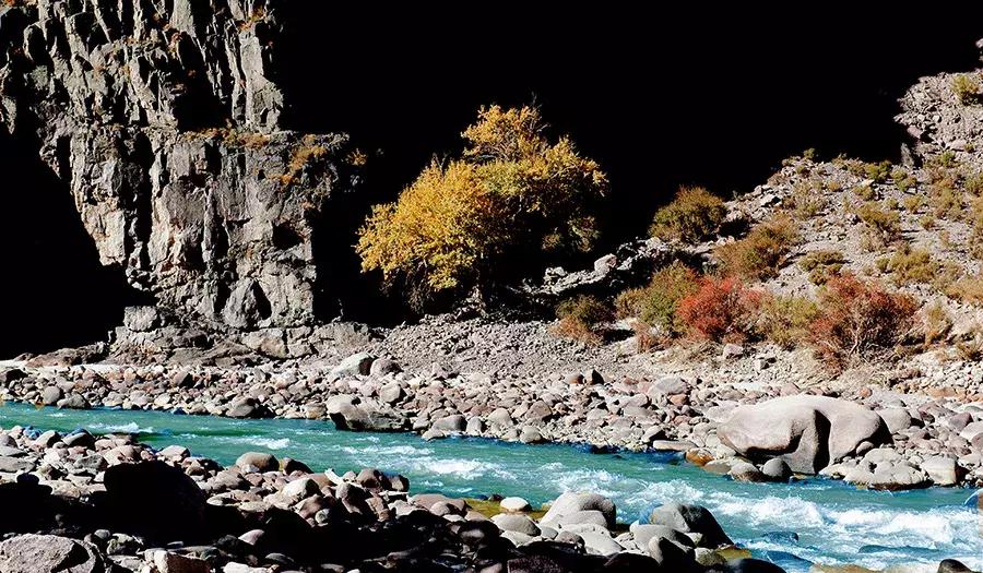 新疆拜城县最新消息今天,拜城最新真实消息