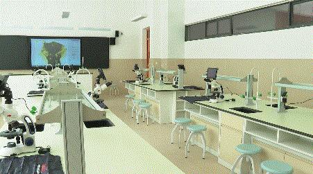 苏州高新区热门学区房,苏州高新区正在建设的楼盘有哪些