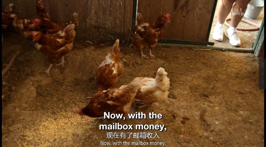 这些暴富故事，看得我心肌梗塞