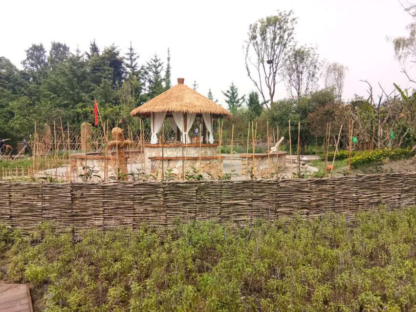 成都温江创新驱动乡村民宿发展开创旅游新体验