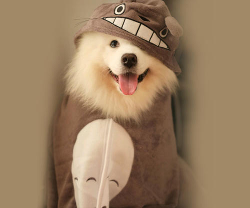 母狗第一次来姨妈要注意什么,母狗来月经怎么解决